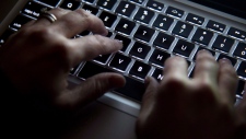 heartbleed bug hands on the keyboard heartbleed bug